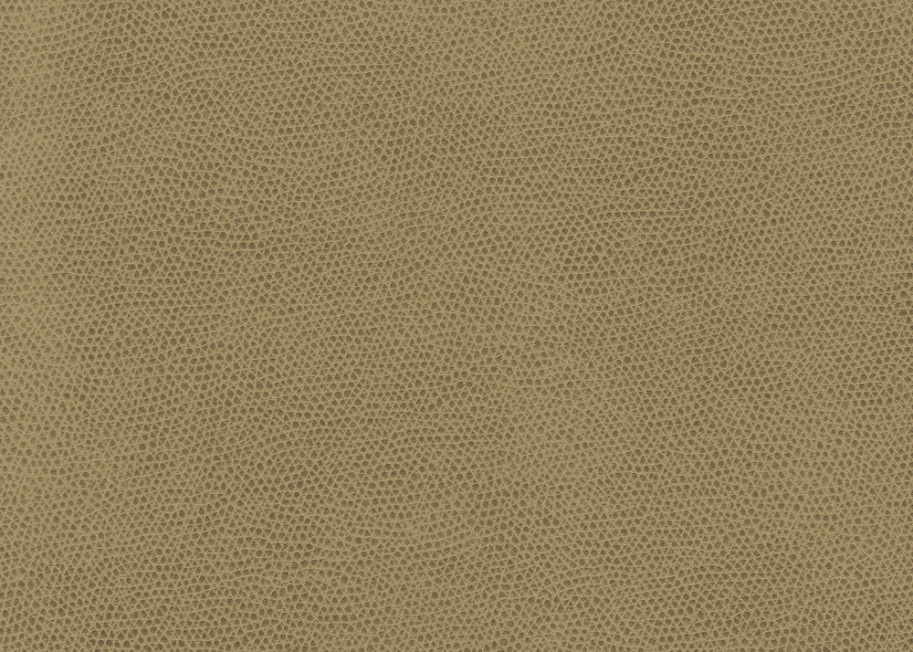 Ophidian Wheat by Kravet Contract Fabric