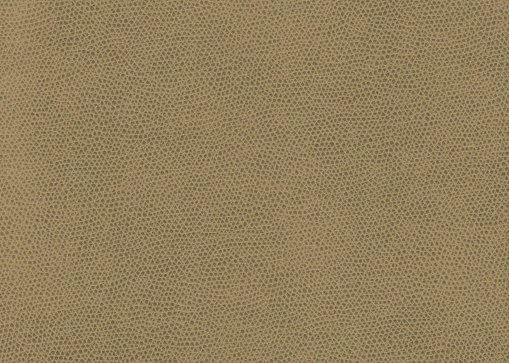 Ophidian Wheat by Kravet Contract Fabric