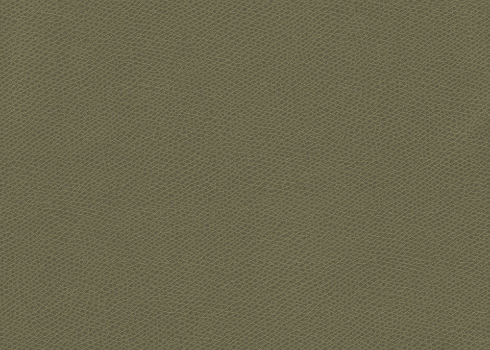 Ophidian Sage by Kravet Contract Fabric