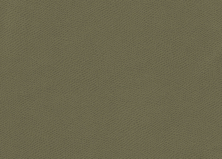 Ophidian Sage by Kravet Contract Fabric