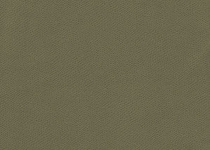 Ophidian Sage by Kravet Contract Fabric