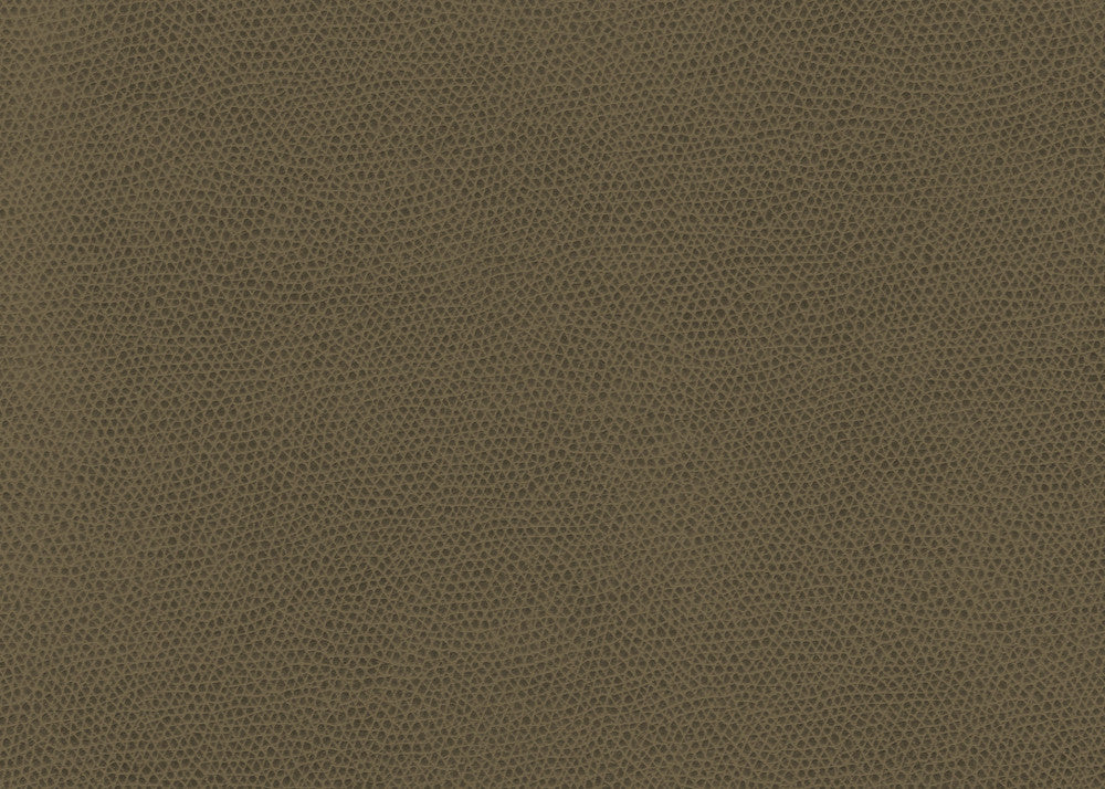 Ophidian Bark by Kravet Contract Fabric