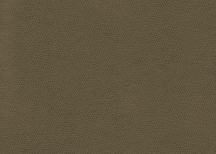 Ophidian Bark by Kravet Contract Fabric