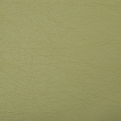Optima Green Tea by Kravet Contract Fabric
