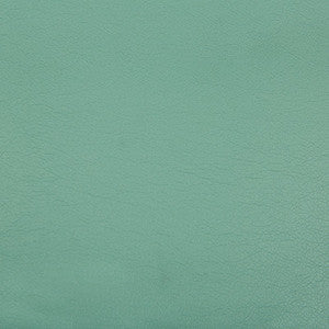 Optima Robins Egg by Kravet Contract Fabric