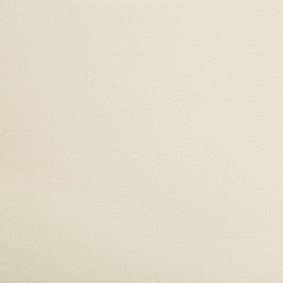 Optima Porcelain by Kravet Contract Fabric