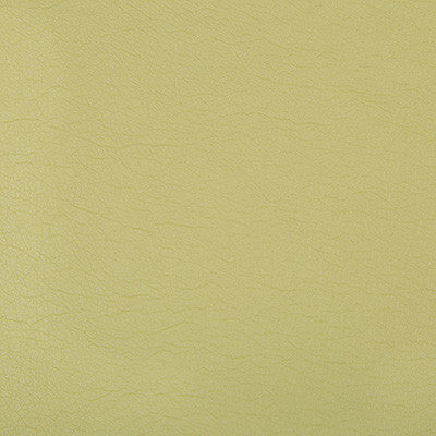 Optima Wasabi by Kravet Contract Fabric