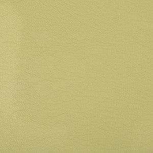 Optima Wasabi by Kravet Contract Fabric