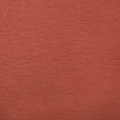 Optima Terra Cotta by Kravet Contract Fabric