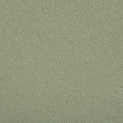 Optima Eucalyptus by Kravet Contract Fabric