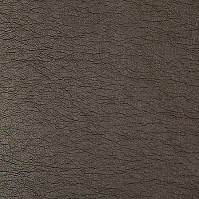 Optima Chocolate by Kravet Contract Fabric