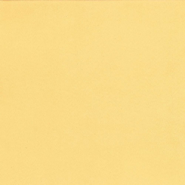 Opus Butter  by Kasmir Fabric 5058 100% Polyester  CHINA  </p><p>Repeat: Horizontal: N/A and Vertical: N/A 55  - 57   - Fabric Carolina -