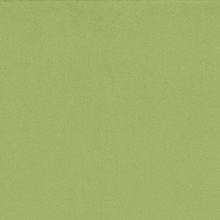 Opus Celery by Kasmir Fabric 5058 100% Polyester
 CHINA </p><p>Repeat: Horizontal: N/A and Vertical: N/A 55 - 57 - Fabric Carolina -