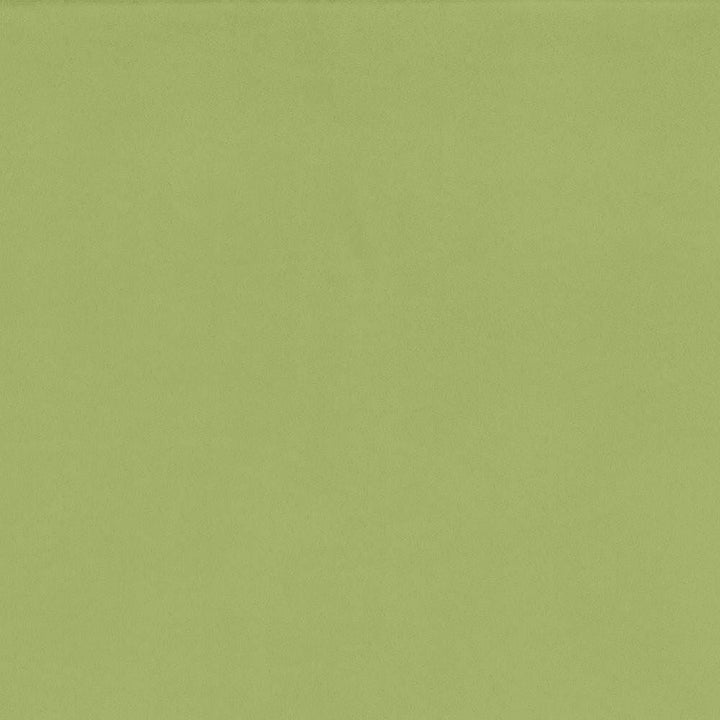 Opus Celery by Kasmir Fabric 5058 100% Polyester
 CHINA </p><p>Repeat: Horizontal: N/A and Vertical: N/A 55 - 57 - Fabric Carolina -