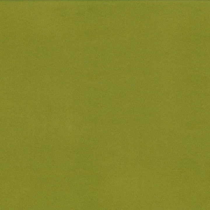 Opus Thyme by Kasmir Fabric 5058 100% Polyester
 CHINA </p><p>Repeat: Horizontal: N/A and Vertical: N/A 55 - 57 - Fabric Carolina -