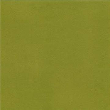 Opus Thyme by Kasmir Fabric 5058 100% Polyester CHINA 100,000 Wyzenbeek Double Rubs H: N/A, V: N/A 55 - 57 - Fabric Carolina - Kasmir