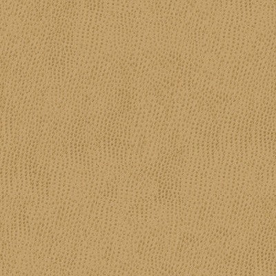 Kravet Smart Ossy-1616 by Kravet Smart Fabric