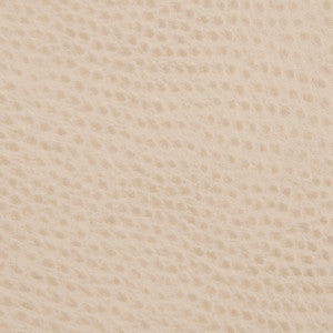 Kravet Smart Ossy-16 by Kravet Smart Fabric