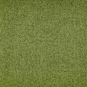 Oswego Lime by Europatex Fabric