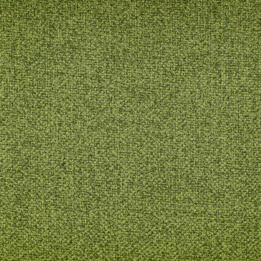 Oswego - Lime by Europatex Fabric Oswego 100% Polyester China See Sample Horizontal: N/A and Vertical: N/A 55.00 inches  - Fabric Carolina -