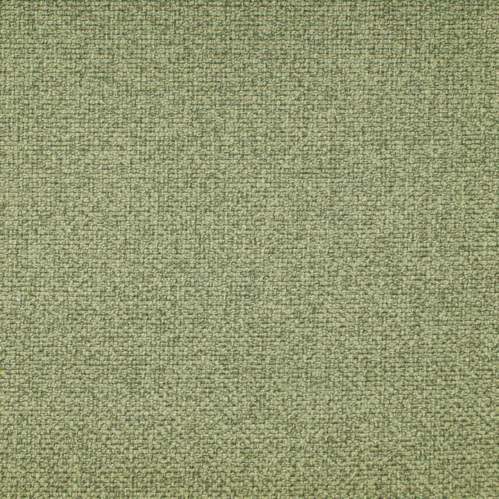 Oswego Rosemary by Europatex Fabric Oswego 100% Polyester 0.00" 55.00 inches - Fabric Carolina -