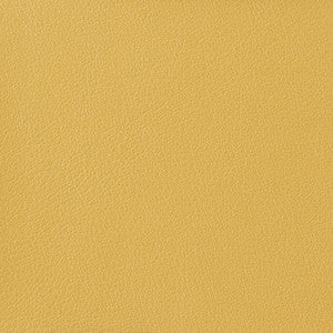 Kravet Basics Otto-40 by Kravet Basics Fabric