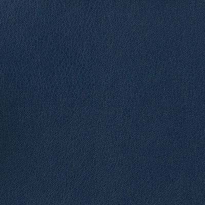 Kravet Basics Otto-50 by Kravet Basics Fabric