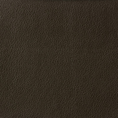 Kravet Basics Otto-66 by Kravet Basics Fabric