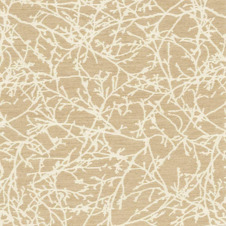 Out Of The Woods Natural by Kasmir Fabric 5112 MEXICO 9,000 Wyzenbeek Double Rubs H: 14 4/8 inches, V:18 6/8 inches 58 - 59 - Fabric Carolina - Kasmir