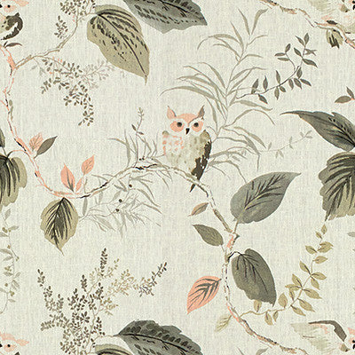 Owlish Blush by Kravet Design Fabric