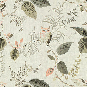 Owlish Blush by Kravet Design Fabric