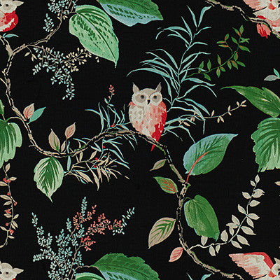 Owlish Black by Kravet Design Fabric