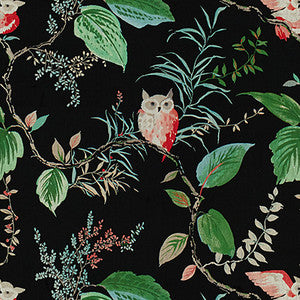 Owlish Black by Kravet Design Fabric