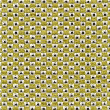 Paliku Endive by Kasmir Fabric 1406 70% Rayon 30% Polyester CHINA 12,000 Wyzenbeek Double Rubs H: 4/8 inches, V: 3/8 inches 54 - Fabric Carolina - Kasmir