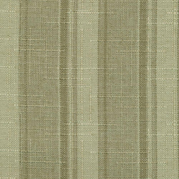 Palm Beach Pesto by Kasmir Fabric 1375 TAIWAN Not Tested H: 1 6/8 inches, V:N/A 54 - 55 - Fabric Carolina - Kasmir