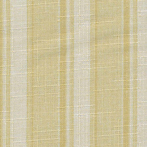 Palm Beach Scotch by Kasmir Fabric