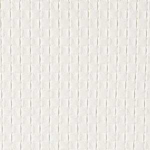 Palu Radiant by Kravet Design Fabric