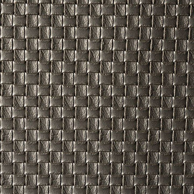 Palu Bronze by Kravet Design Fabric
