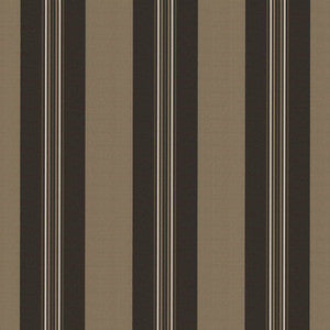 Panzano Stripe Graphite by Kasmir Fabric