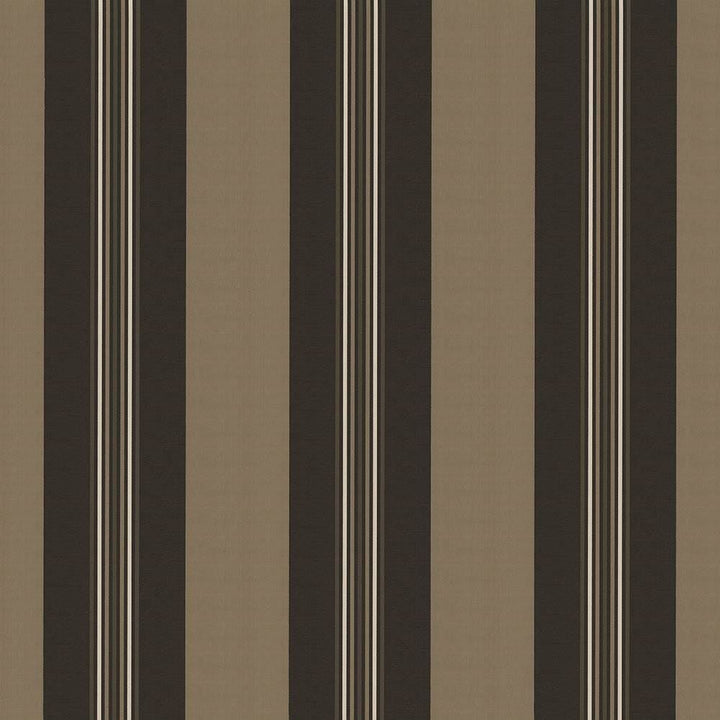 Panzano Stripe Graphite by Kasmir Fabric 1428 100% Polyester
 INDIA </p><p>Repeat: Horizontal: 13 7/8 inches and Vertical: N/A 55 - Fabric Carolina -