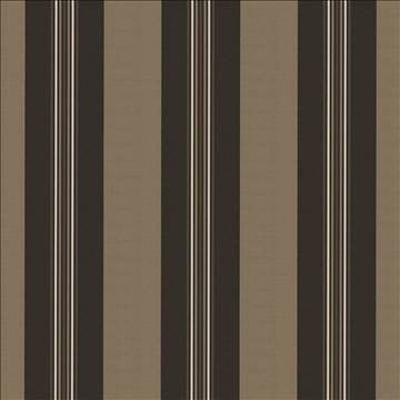 Panzano Stripe Graphite by Kasmir Fabric 1428 100% Polyester INDIA Not Tested H: 13 7/8 inches, V: N/A 55 - Fabric Carolina - Kasmir