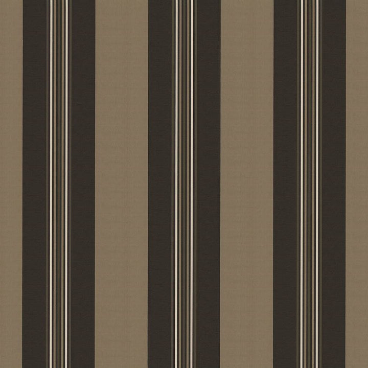 Panzano Stripe Graphite by Kasmir Fabric 1428 100% Polyester
 INDIA </p><p>Repeat: Horizontal: 13 7/8 inches and Vertical: N/A 55 - Fabric Carolina -