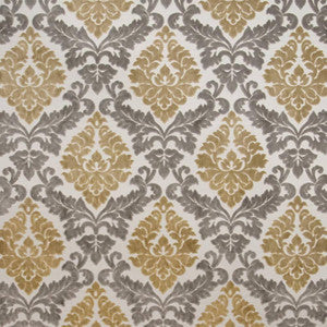 Paoli Damask Golden Haze by Kasmir Fabric
