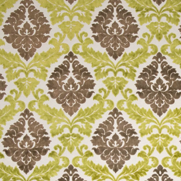 Paoli Damask Pistachio by Kasmir Fabric 1398 43% Viscose
42% Cotton
15% Polyester
 INDIA </p><p>Repeat: Horizontal: 14 5/8 inches and Vertical: 18 1/8 inches 55 - 60 - Fabric Carolina -
