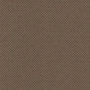 Paquin Chestnut by Kasmir Fabric