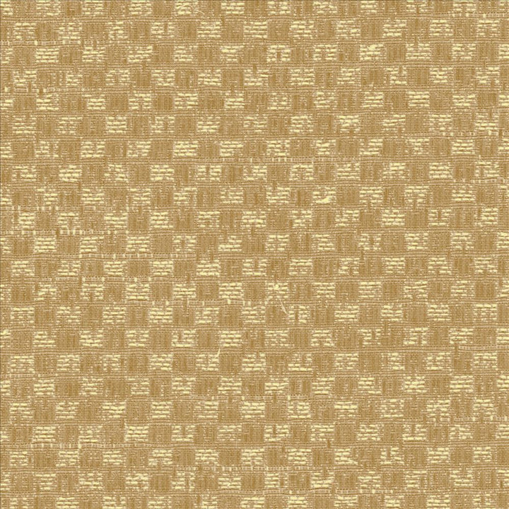 Paquin Harvest by Kasmir Fabric 5093 55% Cotton 45% Polyester TAIWAN 30,000 Wyzenbeek Double Rubs Horizontal: 4/8 inches and Vertical: 4/8 inches 54 - 55 - Fabric Carolina -