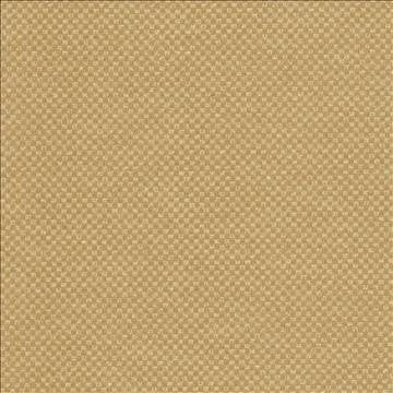 Paquin Harvest by Kasmir Fabric 5093 55% Cotton 45% Polyester TAIWAN 30,000 Wyzenbeek Double Rubs H: 4/8 inches, V: 4/8 inches 54 - 55 - Fabric Carolina - Kasmir