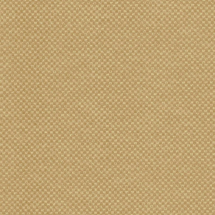 Paquin Harvest by Kasmir Fabric 5093 TAIWAN 30,000 Wyzenbeek Double Rubs H: 4/8 inches, V:4/8 inches 54 - 55 - Fabric Carolina - Kasmir