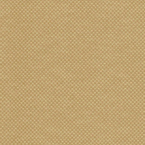 Paquin Harvest by Kasmir Fabric