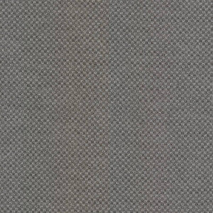 Paquin Oxford by Kasmir Fabric
